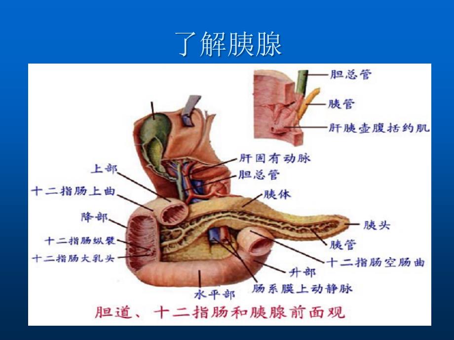 急性胰腺炎分析研究_第4页