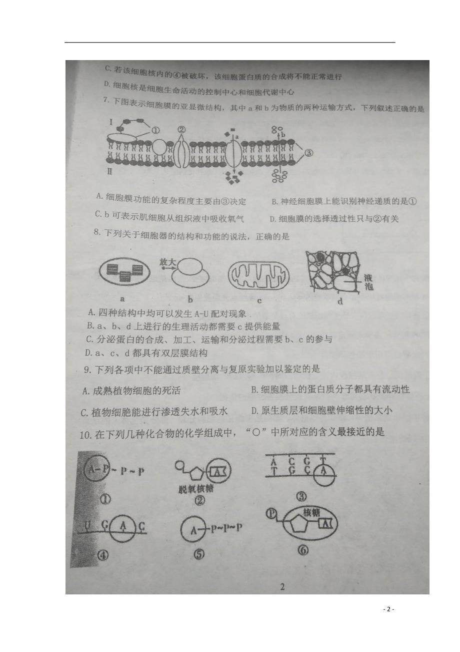 河北省蠡县中学2017-2018学年高二生物6月月考试题_第2页