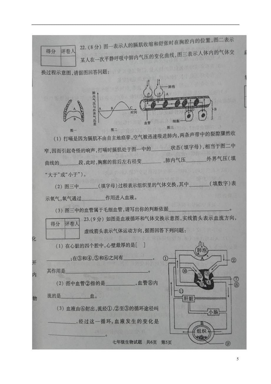 山东省曲阜市2017_2018学年七年级生物下学期期中试题新人教版_第5页