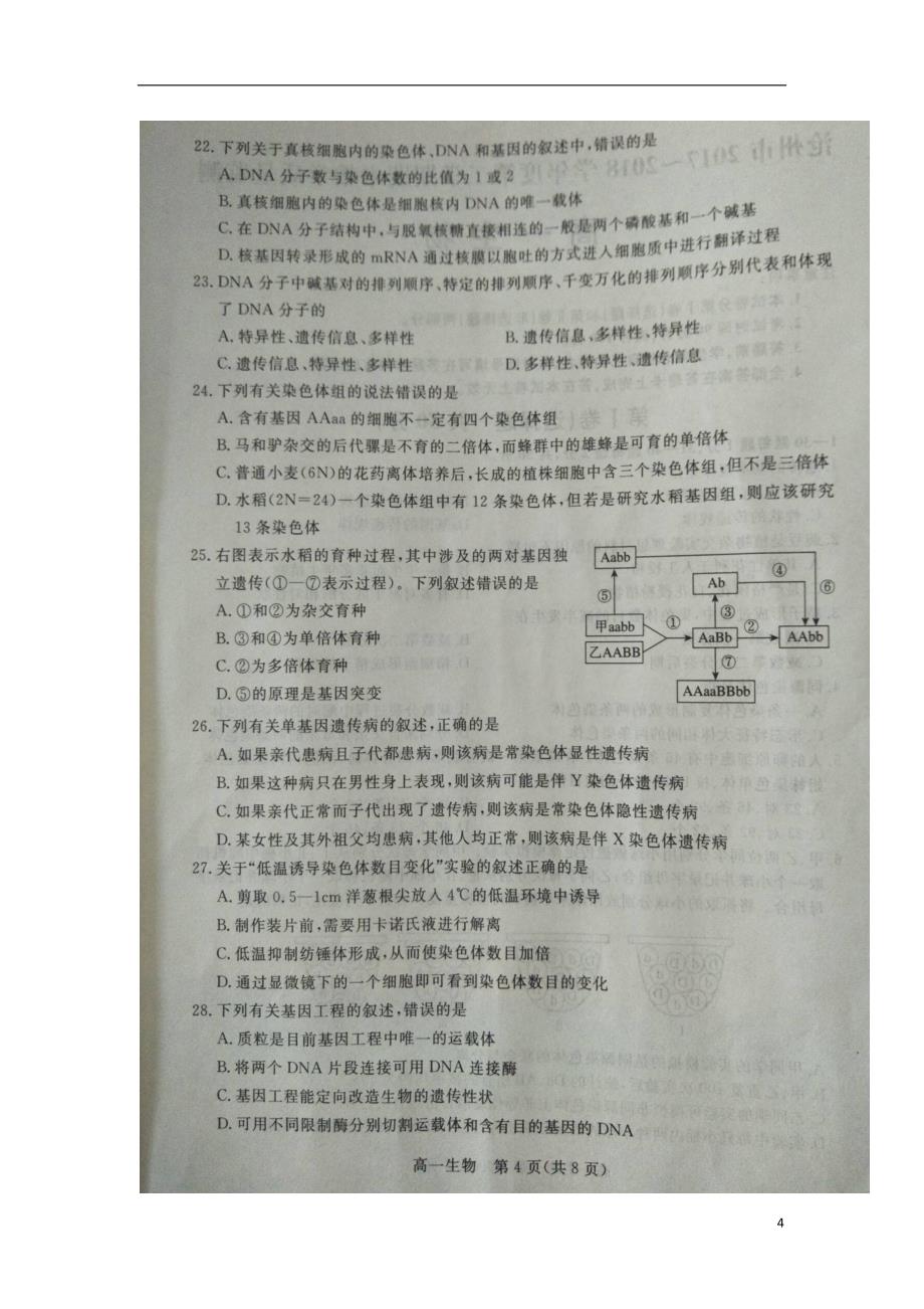 河北省沧州市2017-2018学年度高一生物下学期期末教学质量监测试题（无答案）_第4页