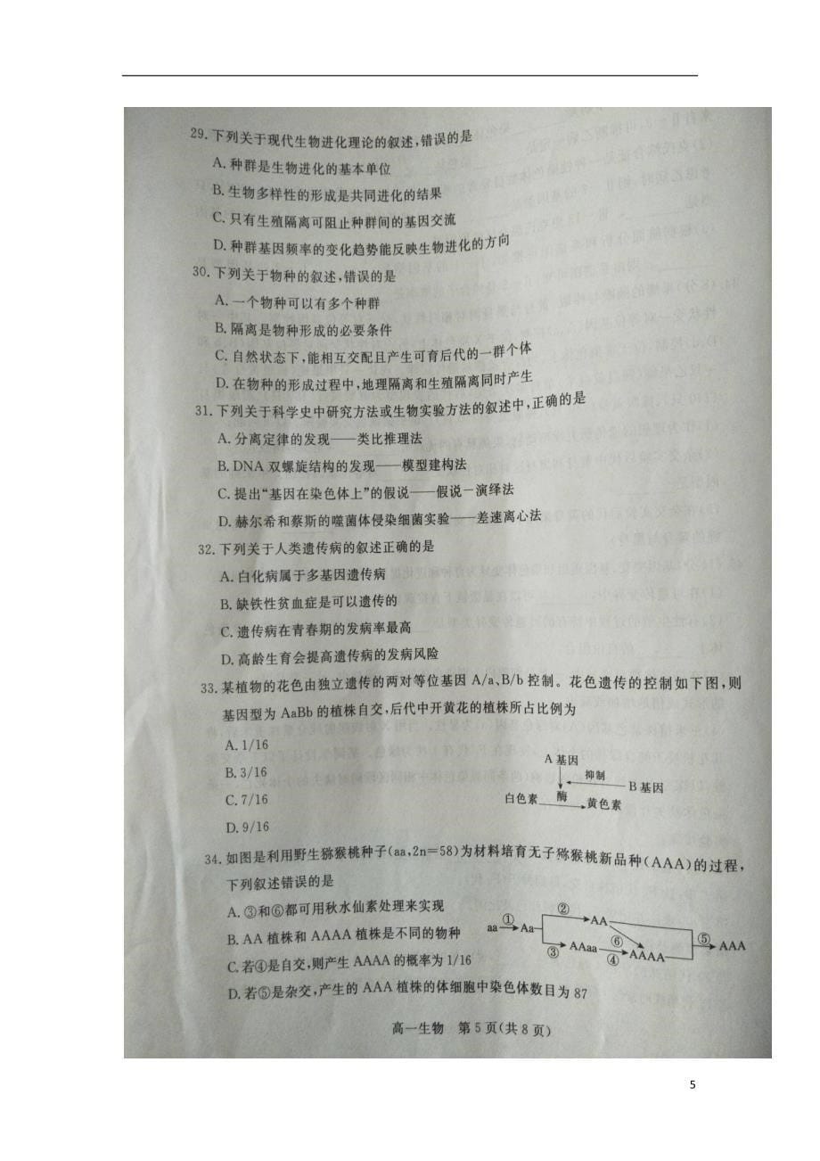 河北省沧州市2017-2018学年度高一生物下学期期末教学质量监测试题（无答案）_第5页