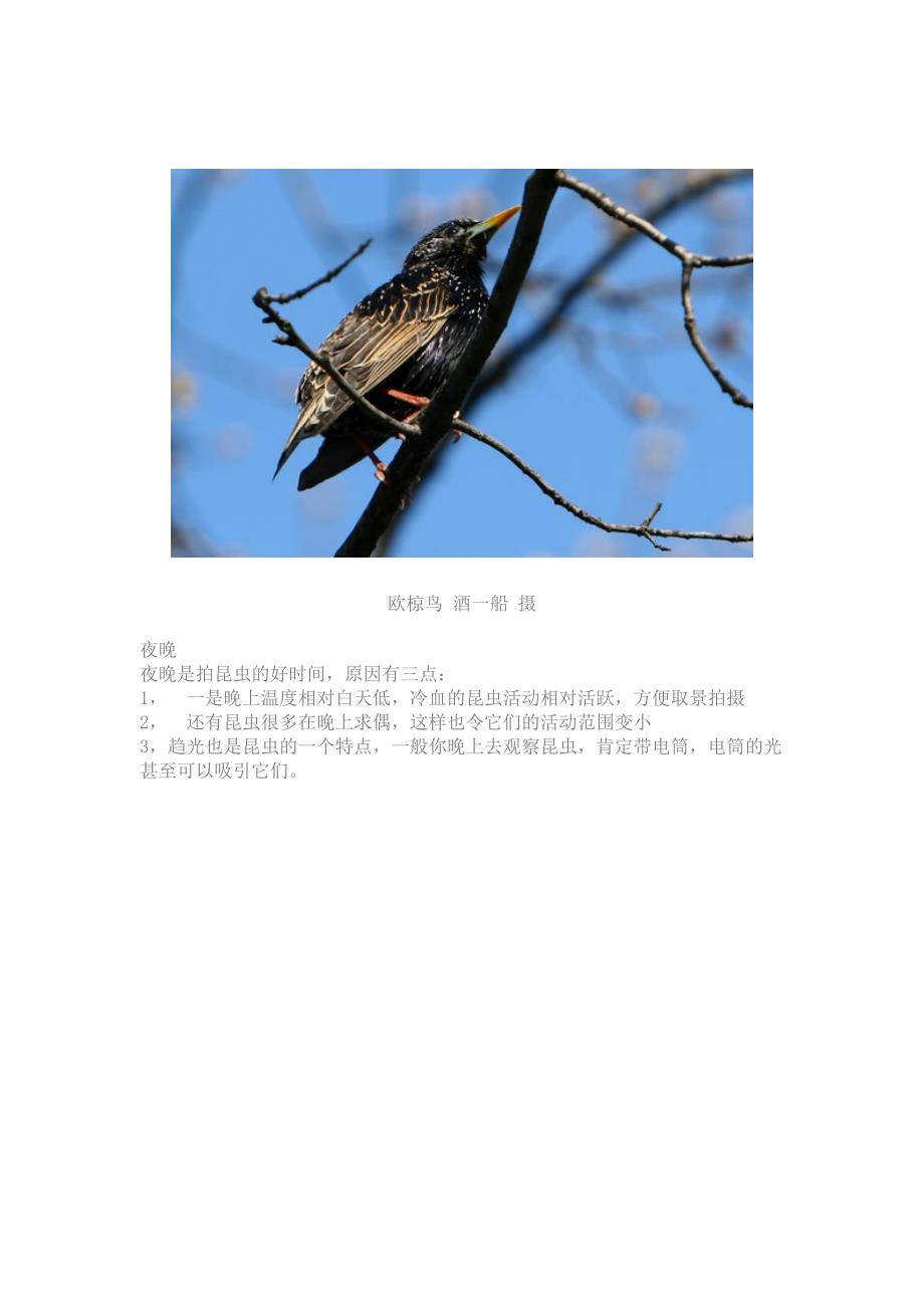梦游10cm仙境——何时拍摄小生态_第3页
