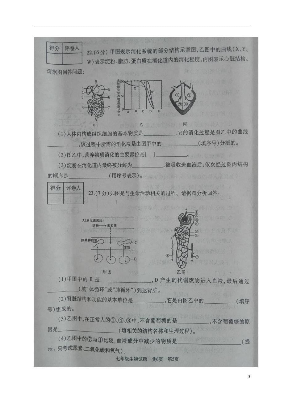 山东省曲阜市2017_2018学年七年级生物下学期期末试题新人教版_第5页