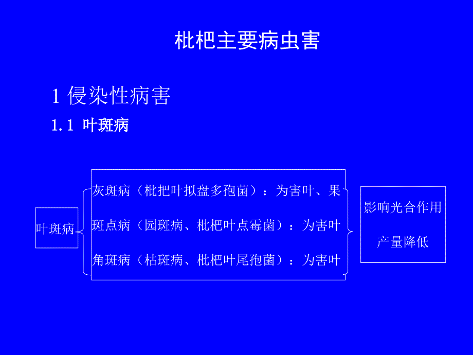 枇杷研究分析_第1页