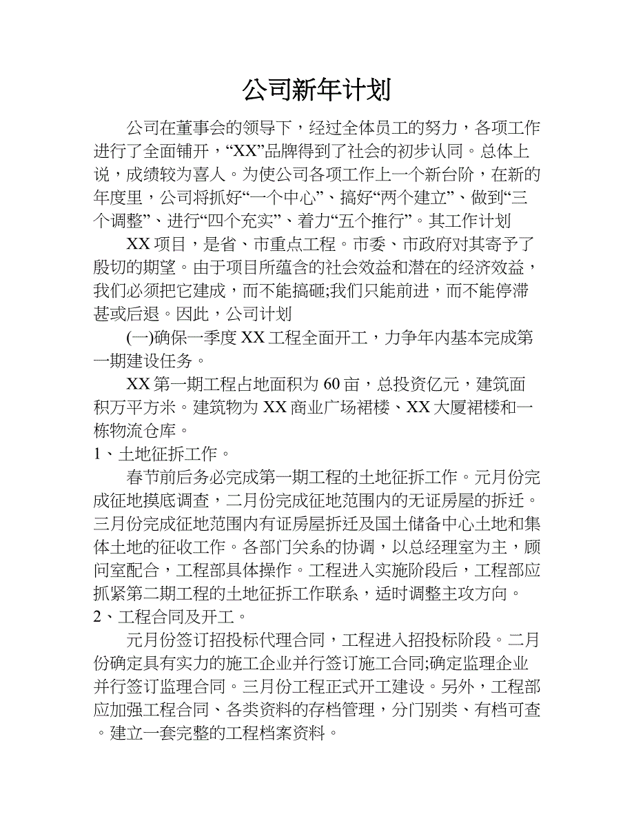 公司新年计划.doc_第1页