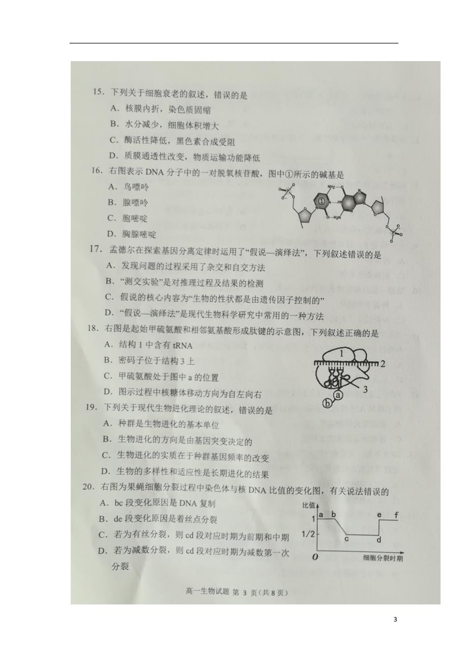 山东省日照市2017-2018学年高一生物下学期期末考试试题_第3页