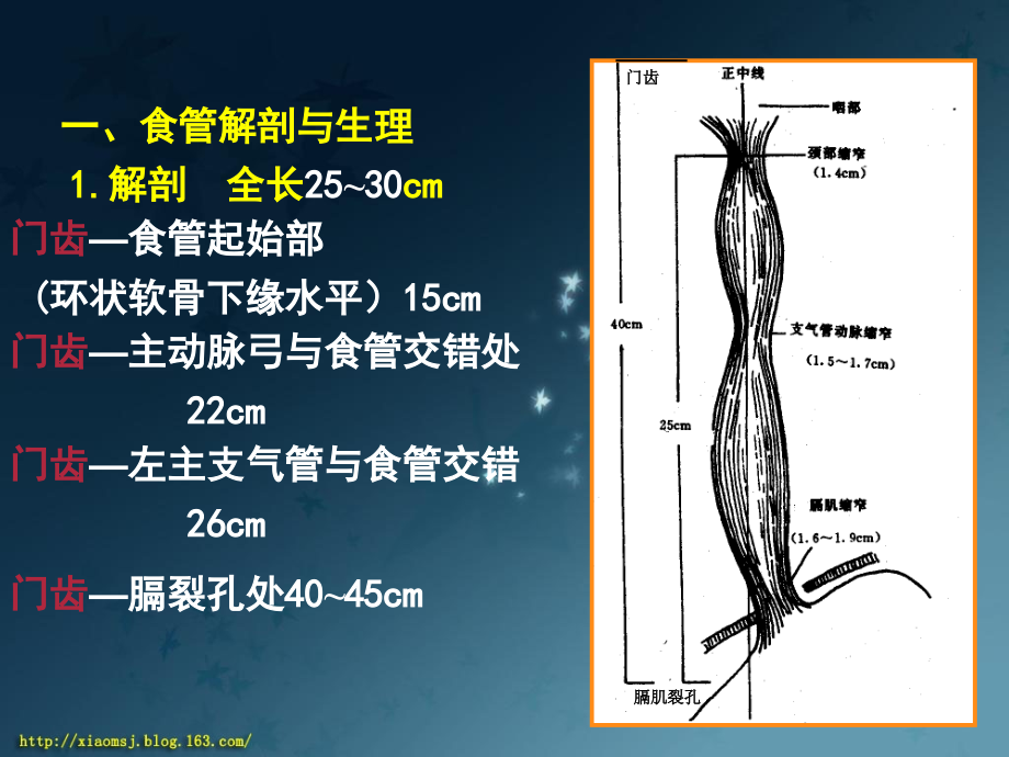 临床医学概论 食管癌_第4页