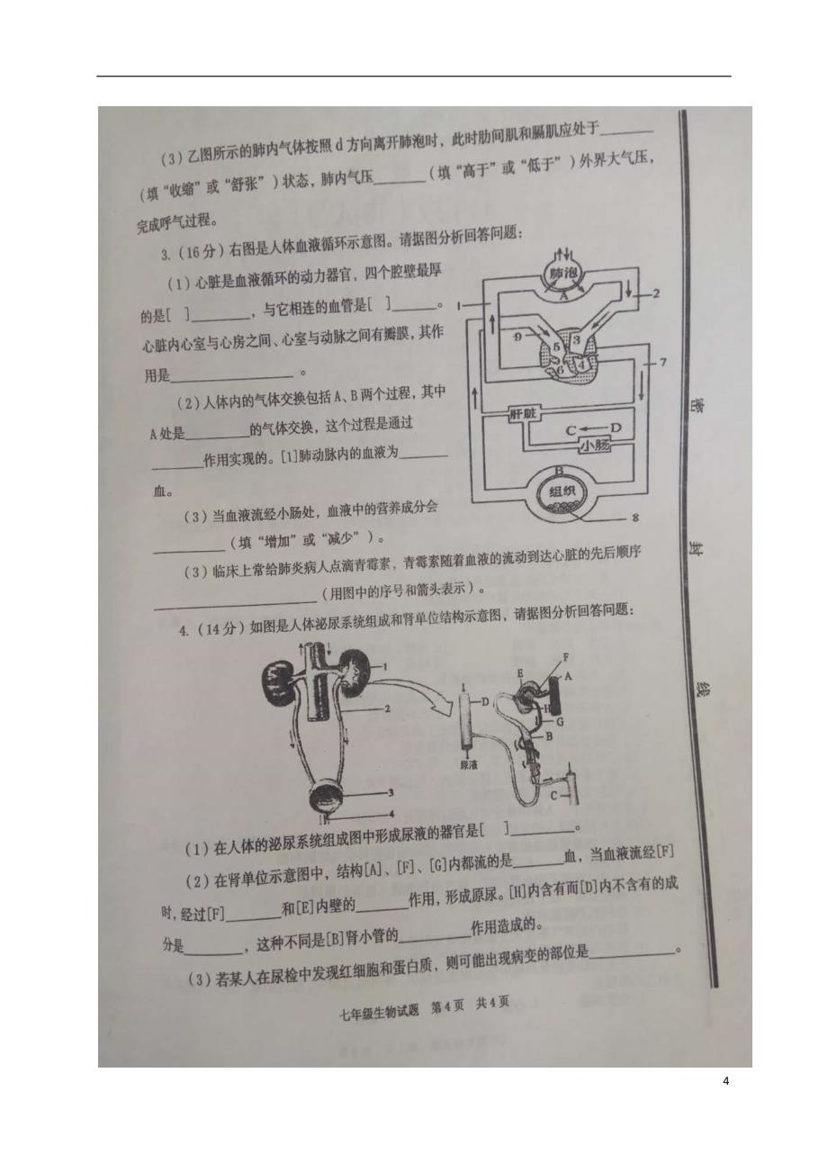 山东省枣庄市薛城区2017-2018学年七年级生物下学期期中试题（无答案） 新人教版_第4页