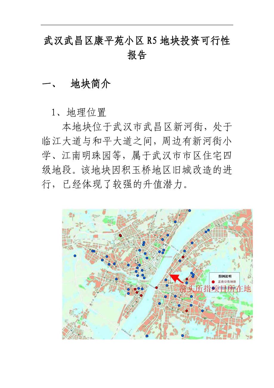 武汉武昌区地块投资可行性报告(精_第1页