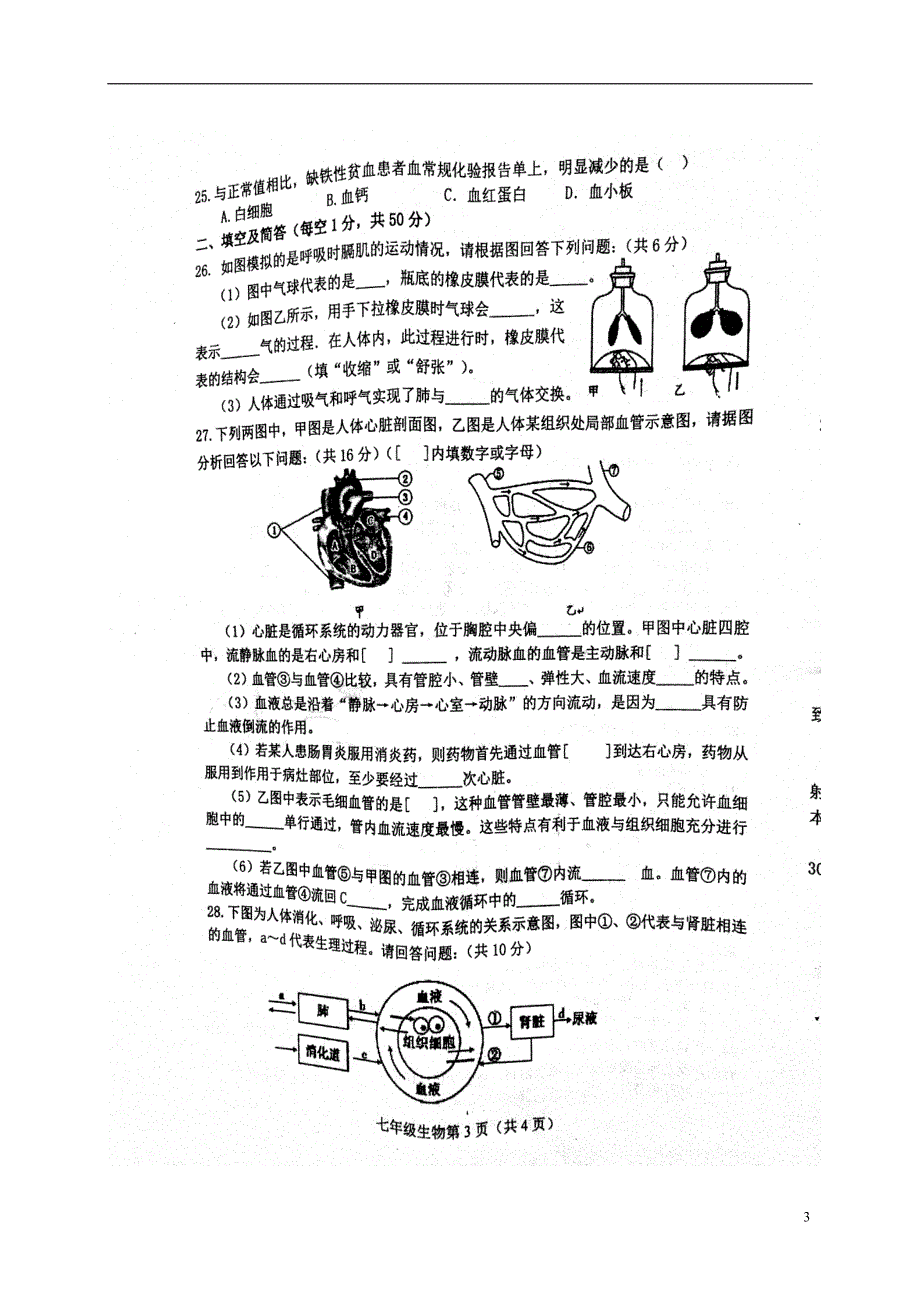 河北省滦县2017_2018学年七年级生物下学期期末试题新人教版_第3页