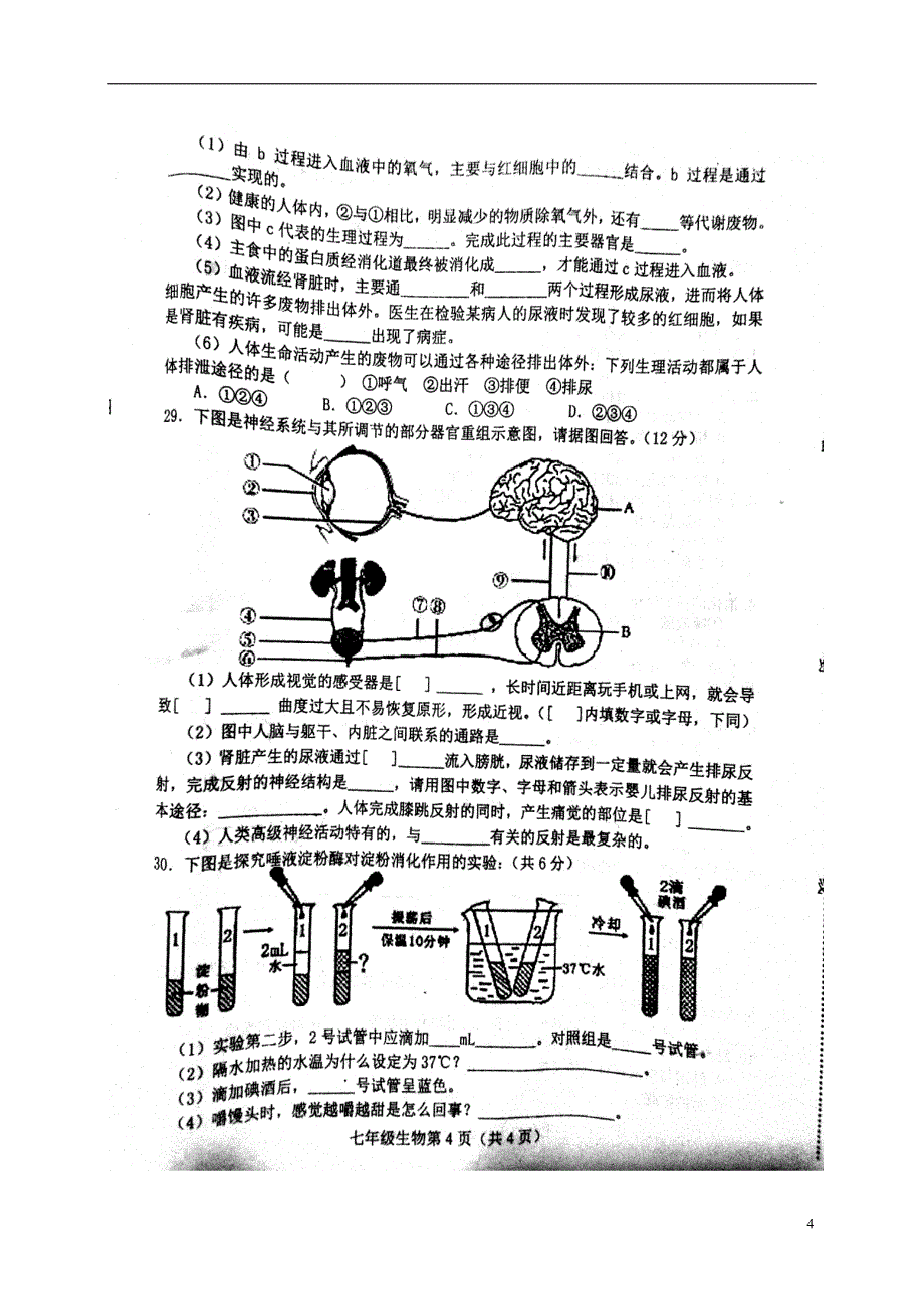 河北省滦县2017_2018学年七年级生物下学期期末试题新人教版_第4页