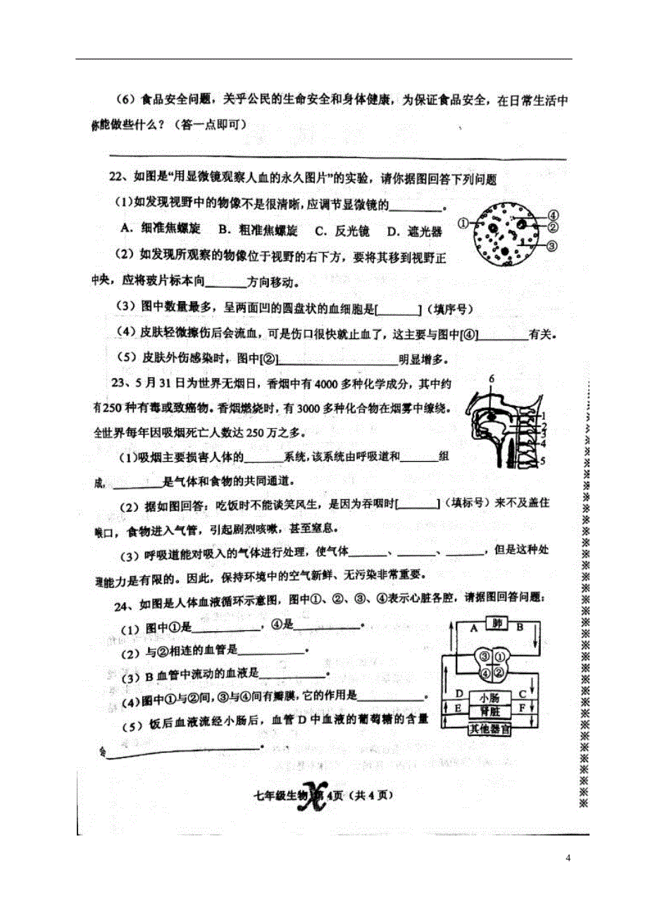 河南省南阳市内乡县2017_2018学年七年级生物下学期期中质量评估试题新人教版_第4页