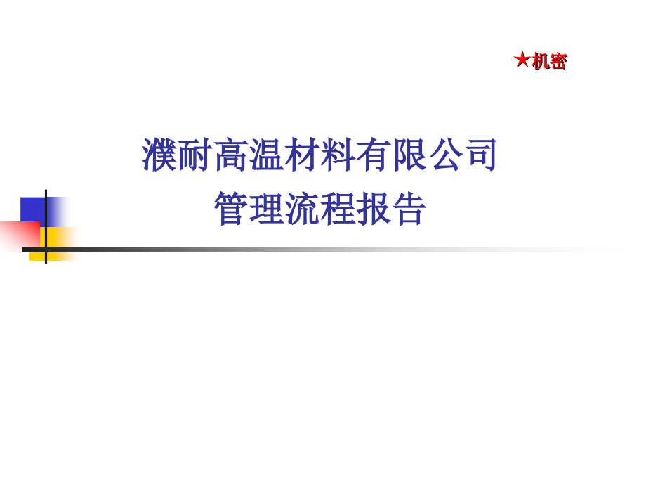 濮耐管理流程报告L终稿_第1页