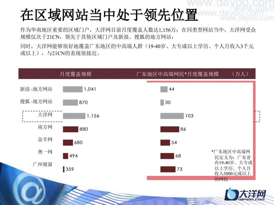 大洋网线上营销整合方案_第5页