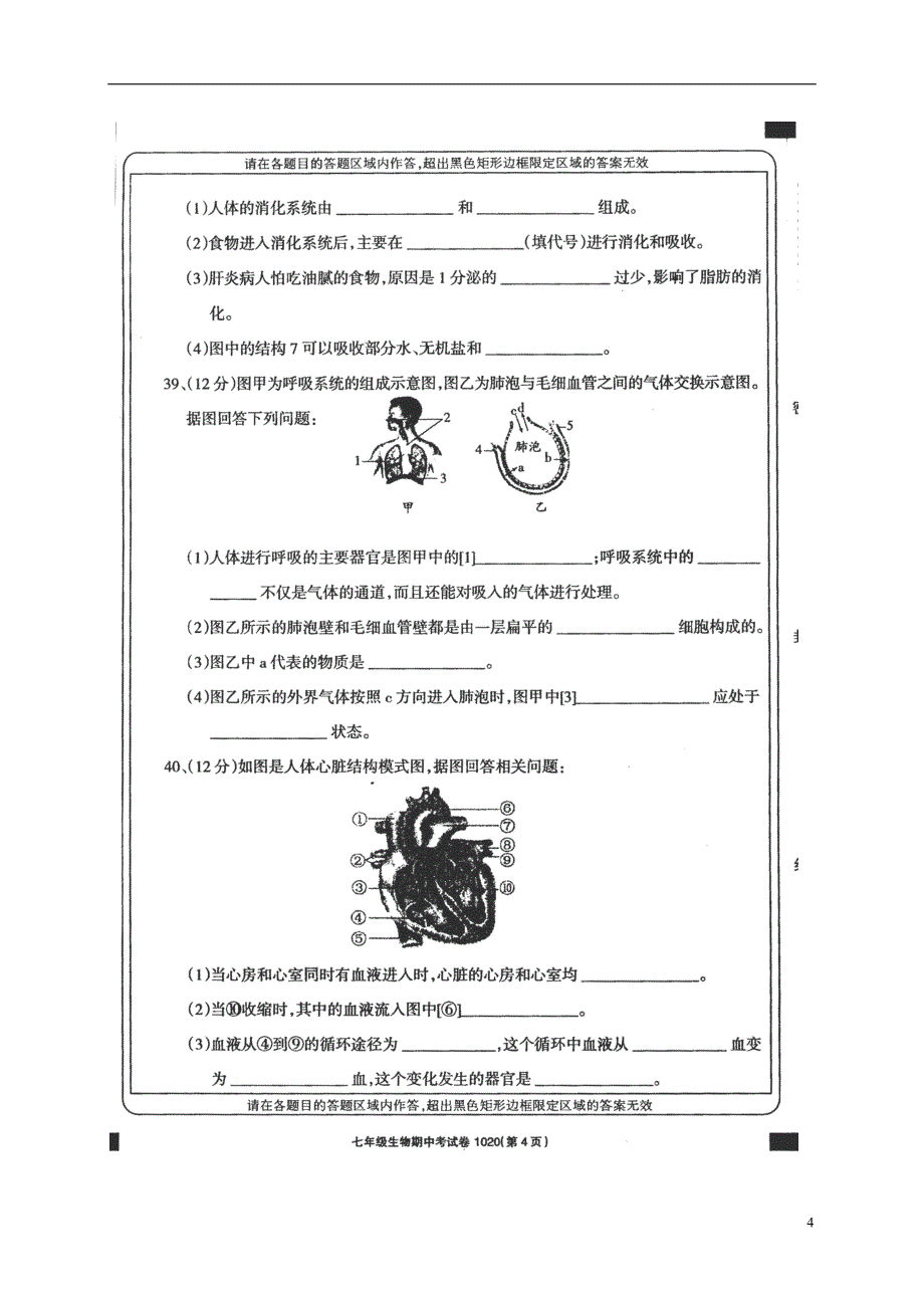 甘肃省武威市2017_2018学年七年级生物下学期期中试题无答案新人教版_第4页