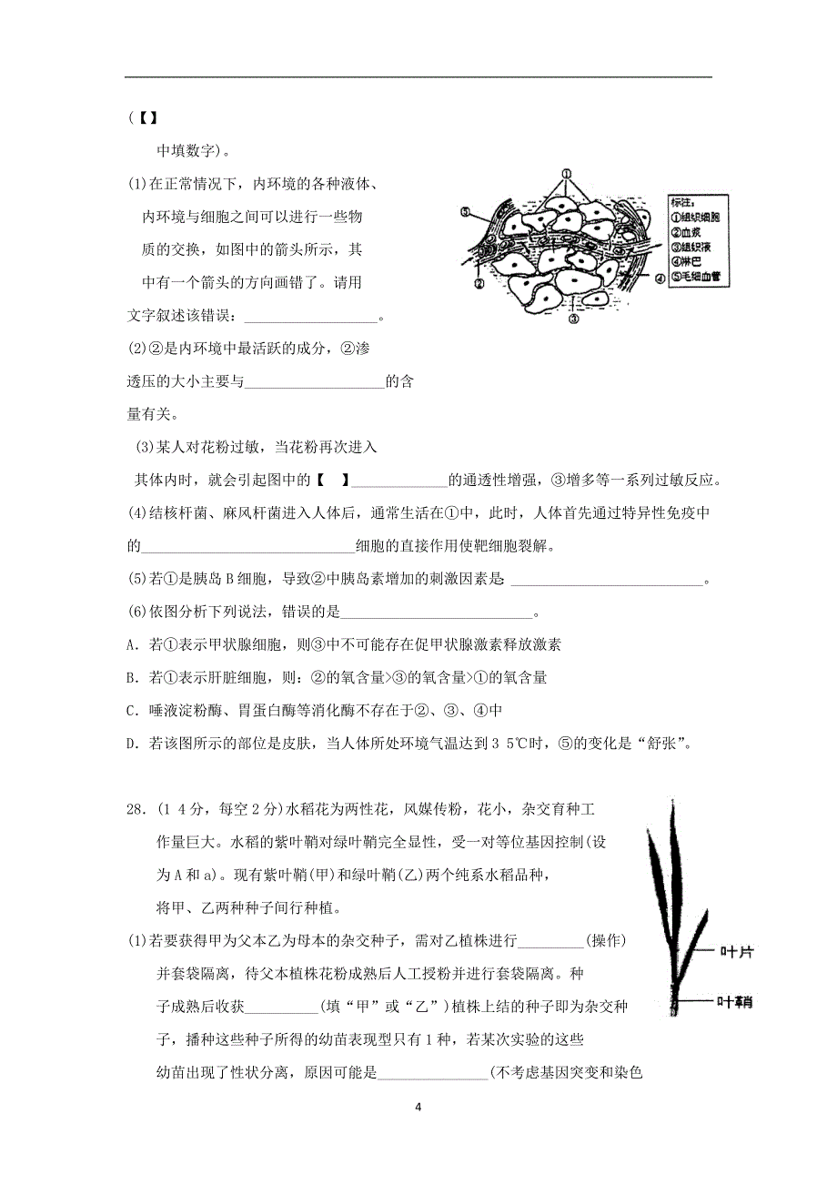 【生物】福建省2015届高三上学期期末考试 _第4页