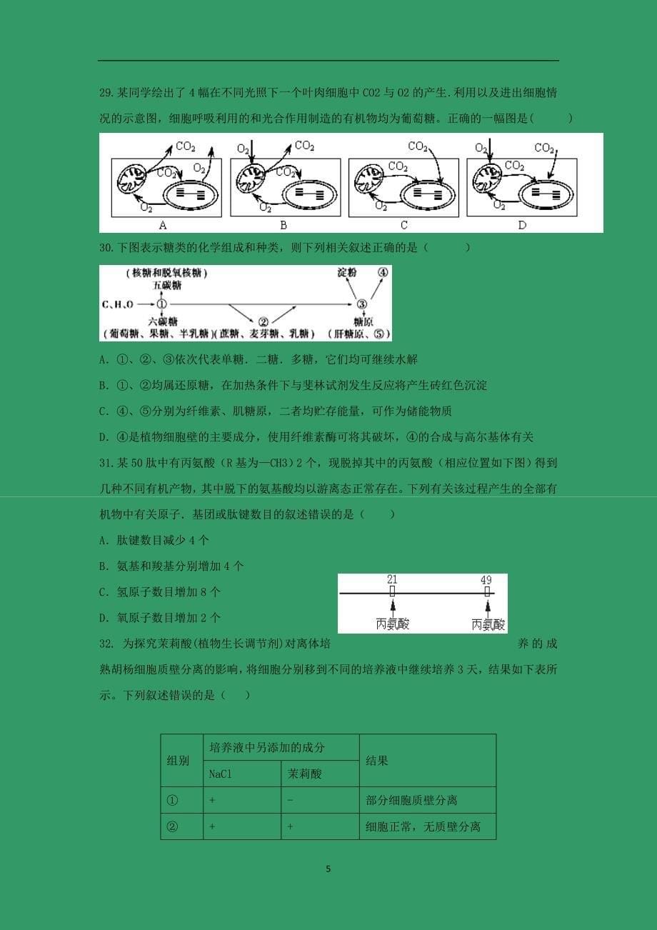 【生物】湖北省宜昌市金东方高级中学2014-2015学年高一上学期期末考试_第5页