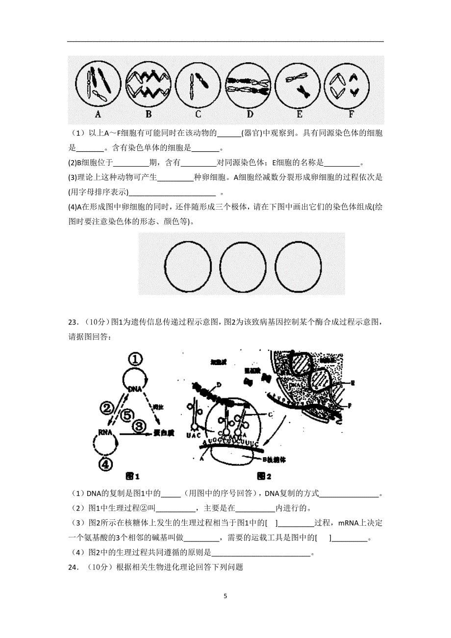 【生物】山西省广灵一中2013-2014学年高一下学期期末考试_第5页