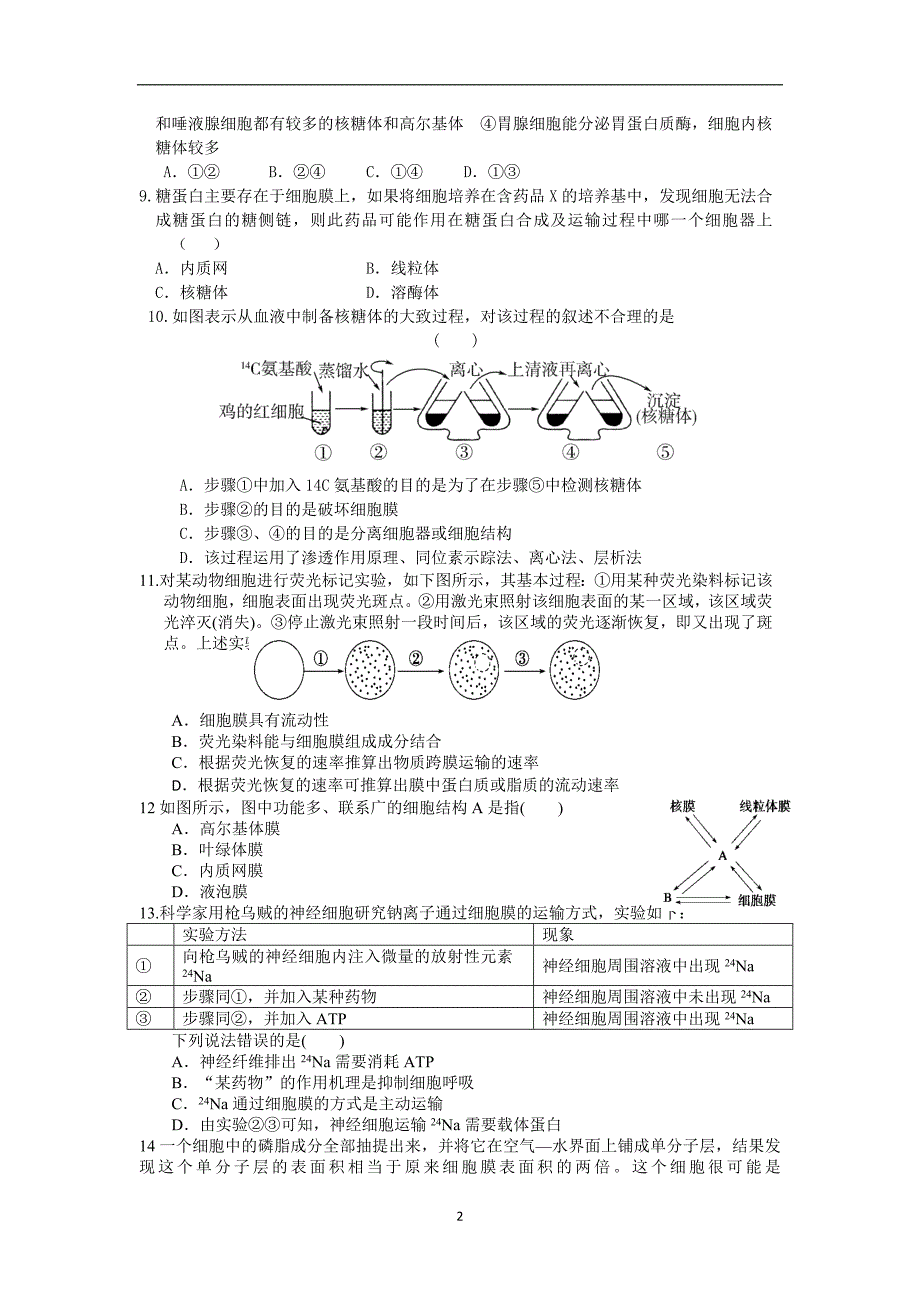 【生物】安徽省临泉一中2013-2014学年高一上学期期末考试_第2页