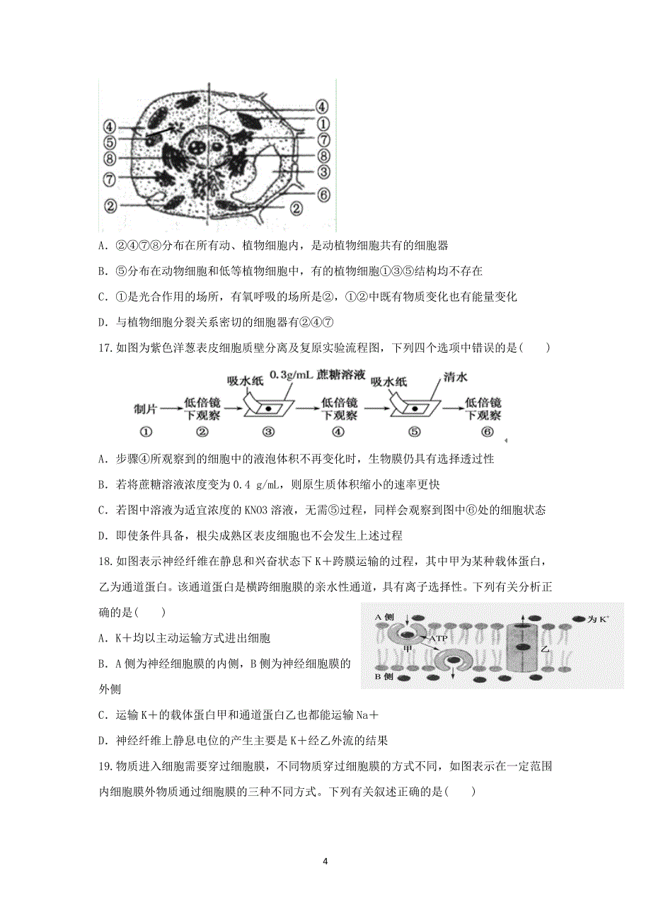 【生物】福建省福州文博中学2015届高三上学期第一次月考_第4页