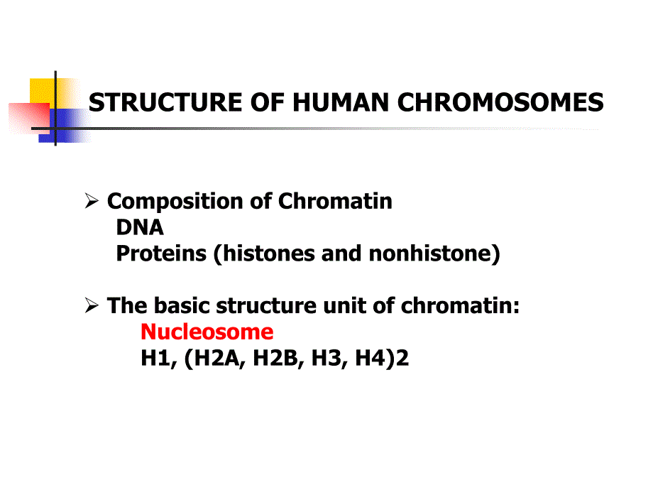 遗传学 Post-Translation Processing_第2页