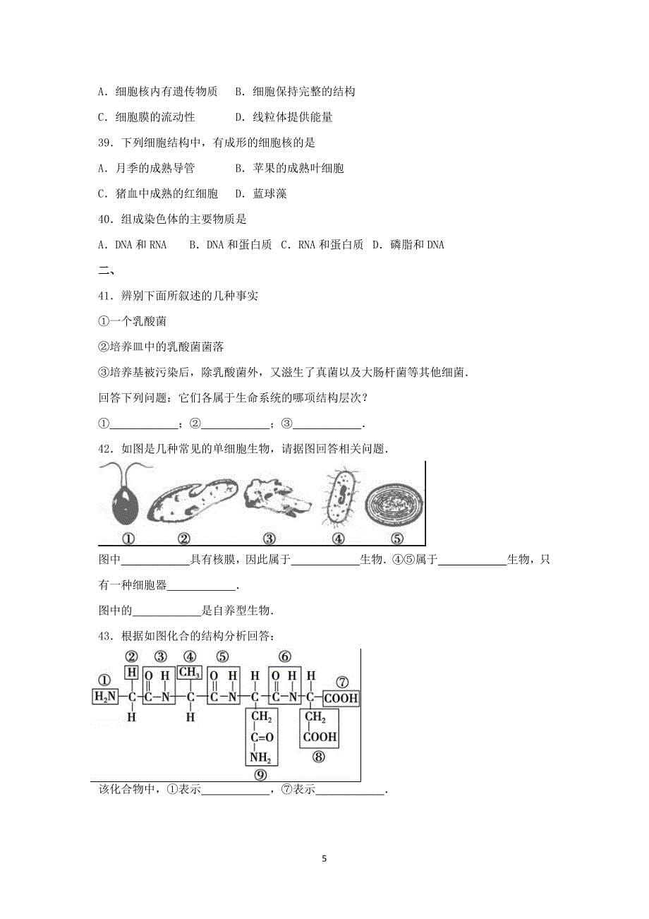 【生物】云南省西双版纳州2015-2016学年高一上学期期中试卷_第5页