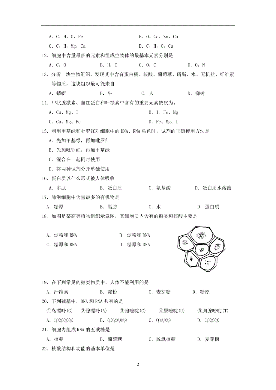 【生物】河北省2014-2015学年高一上学期期末考试_第2页