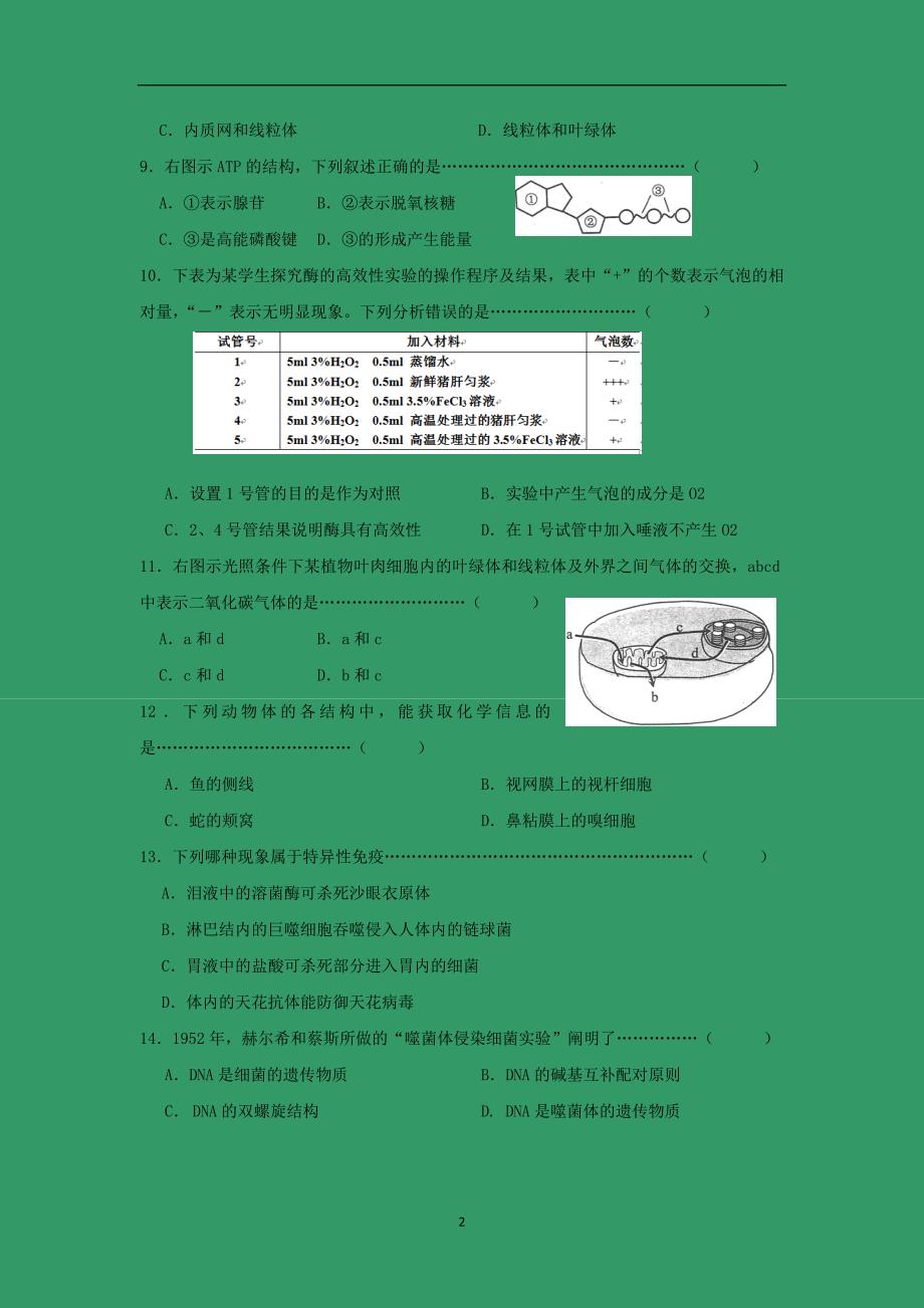 【生物】上海市闵行区2014-2015学年高二上学期期末考试_第2页