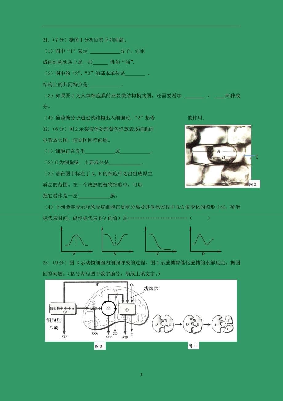 【生物】上海市闵行区2014-2015学年高二上学期期末考试_第5页