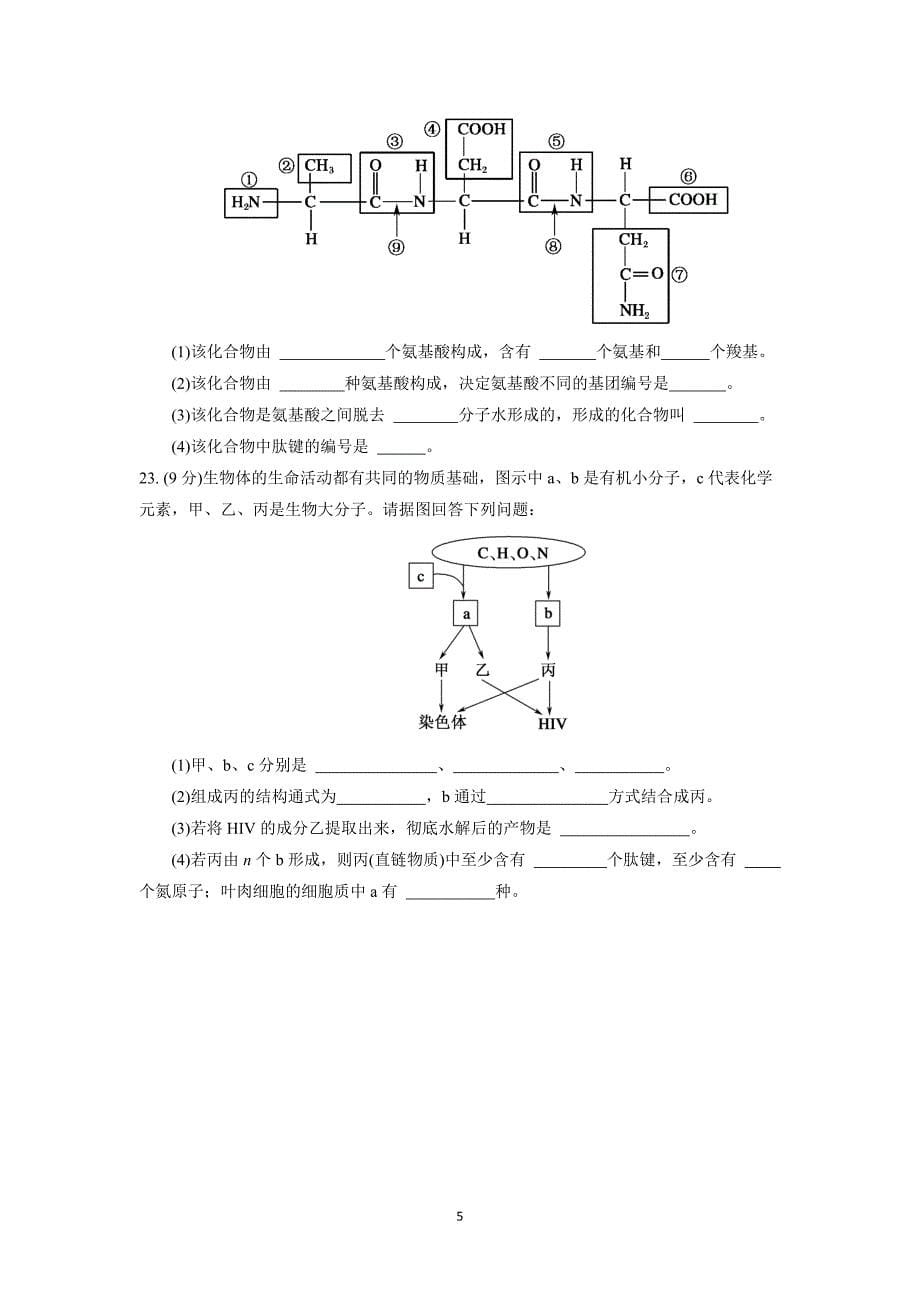 【生物】辽宁省2015-2016学年高一10月月考_第5页