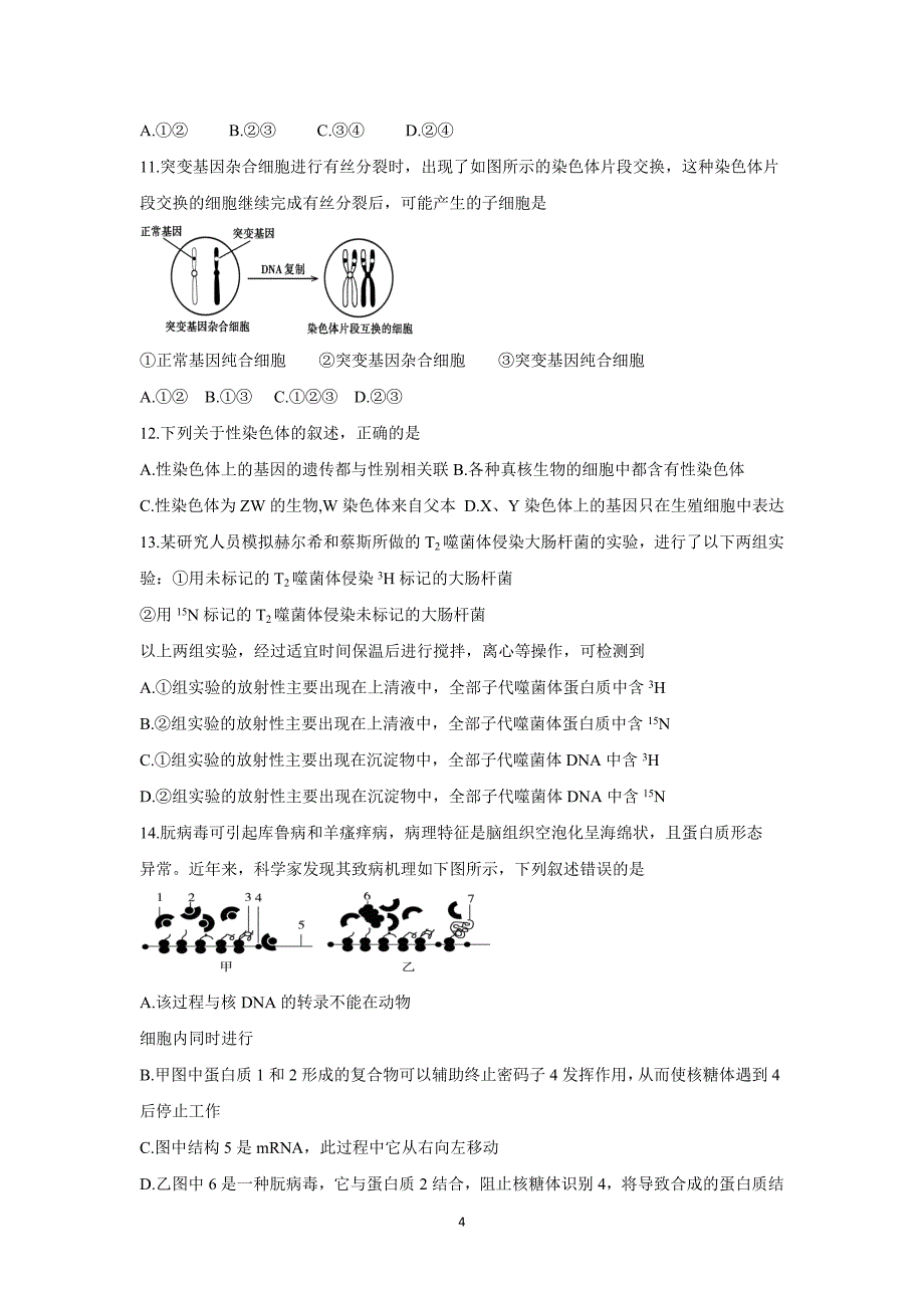 【生物】黑龙江省2016届高三上学期10月月考试题_第4页