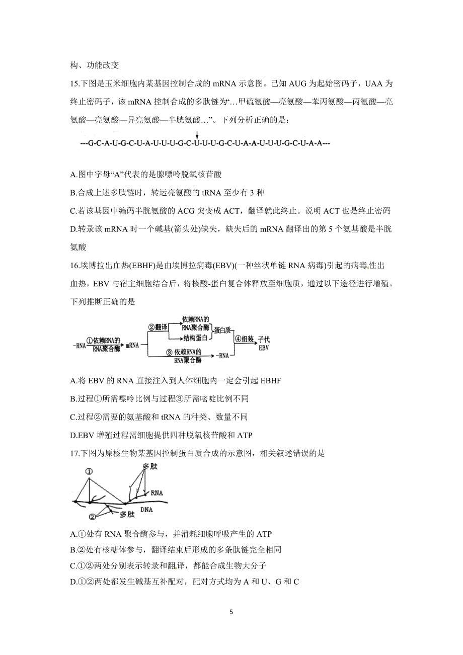 【生物】黑龙江省2016届高三上学期10月月考试题_第5页