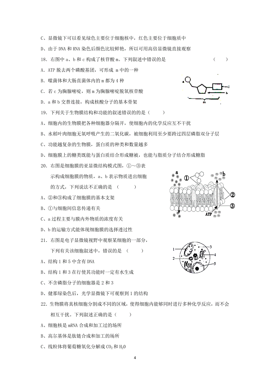 【生物】湖南省2015届高三第一次月考_第4页