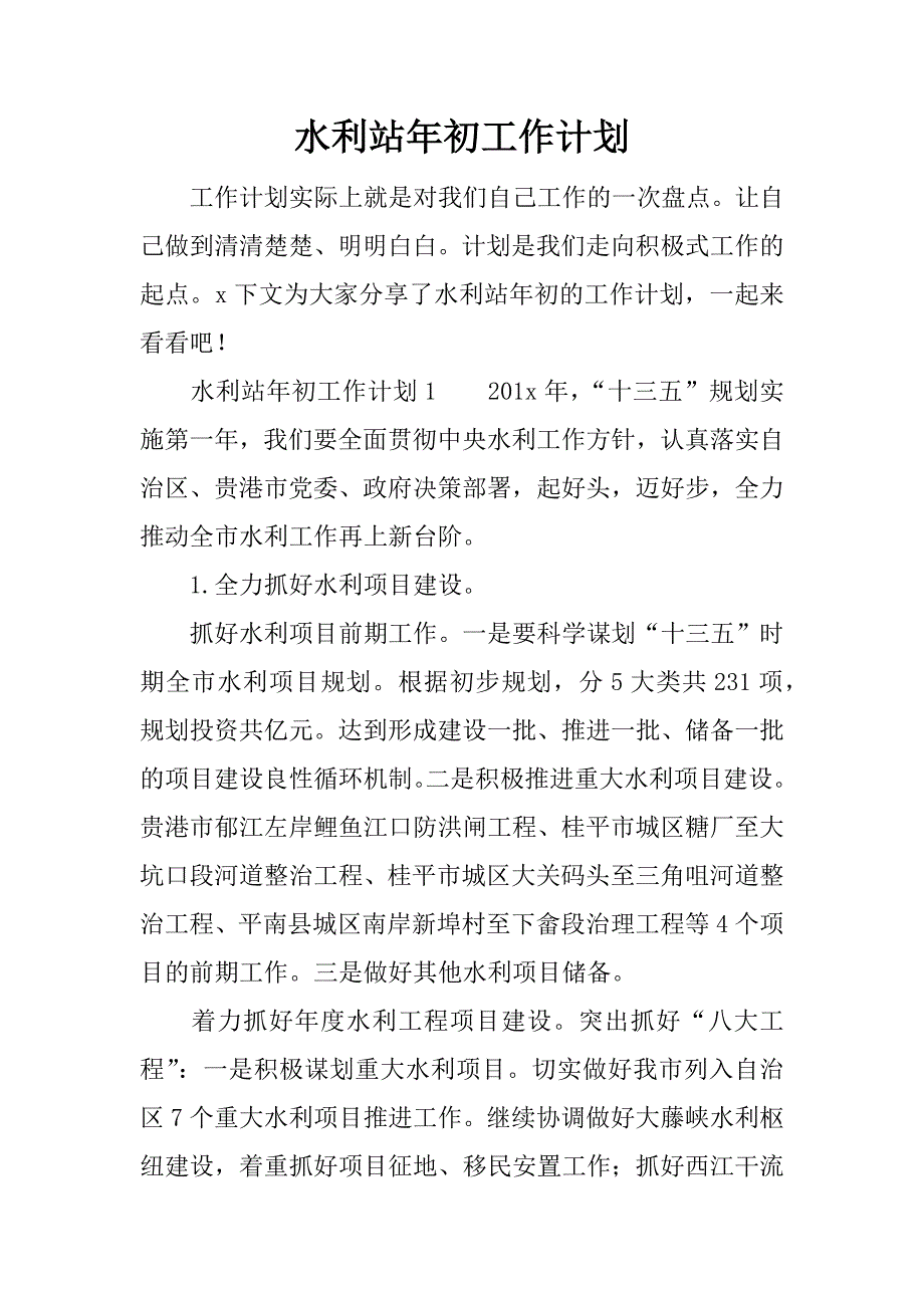 水利站年初工作计划.docx_第1页