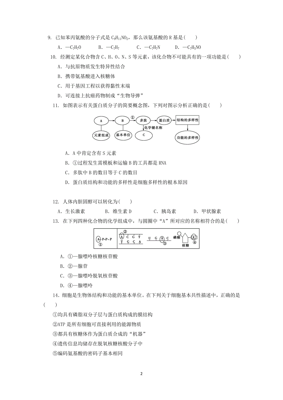 【生物】河南省周口中英文学校2015届高三10月月考_第2页