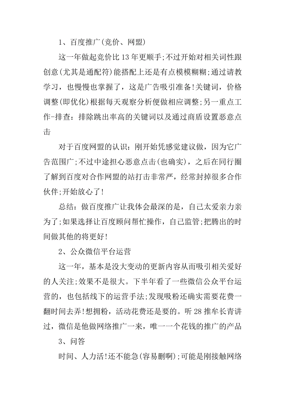 网站推广年终总结及工作计划.docx_第2页