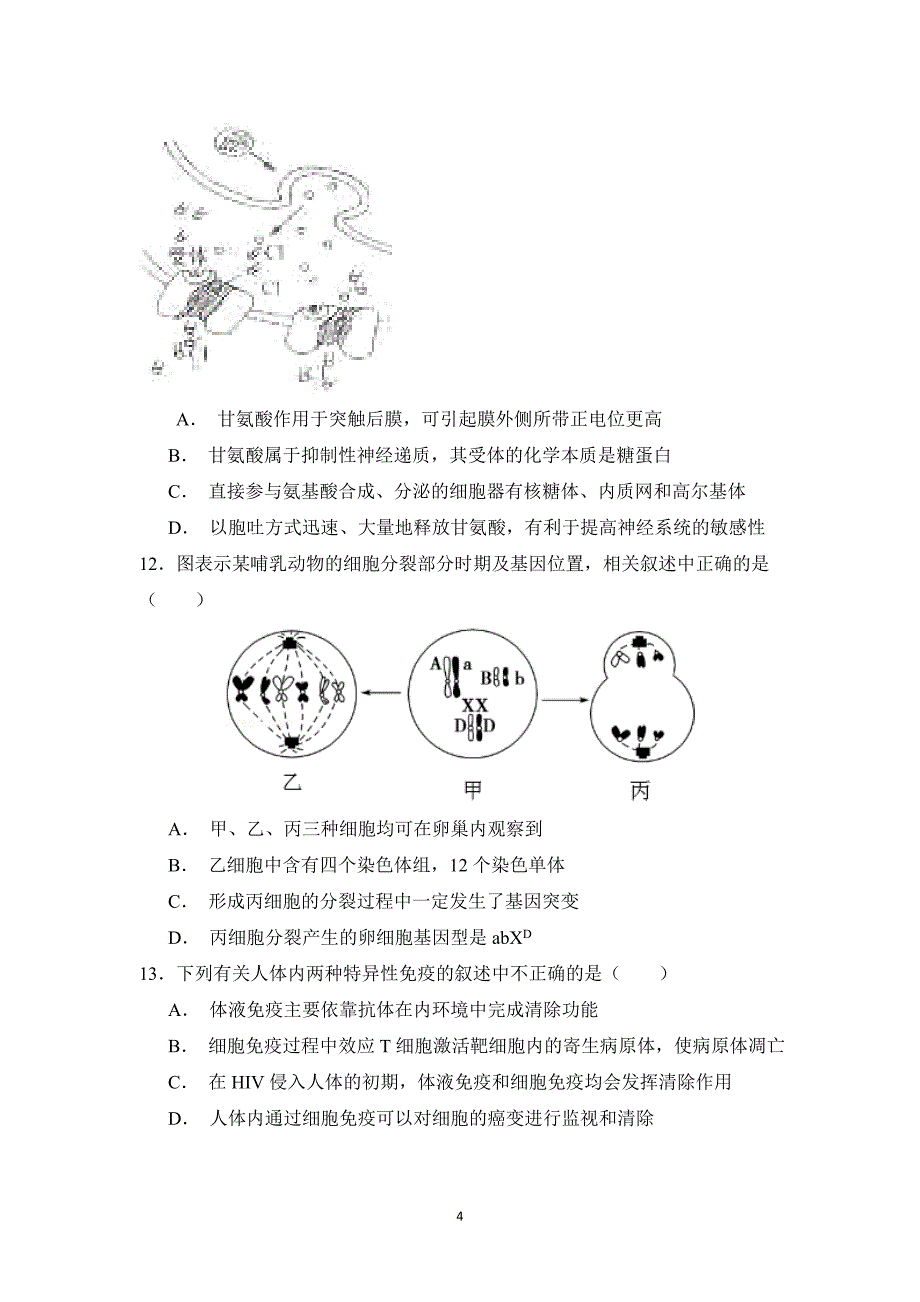 【生物】河北省2016届高三上学期第二次月考_第4页