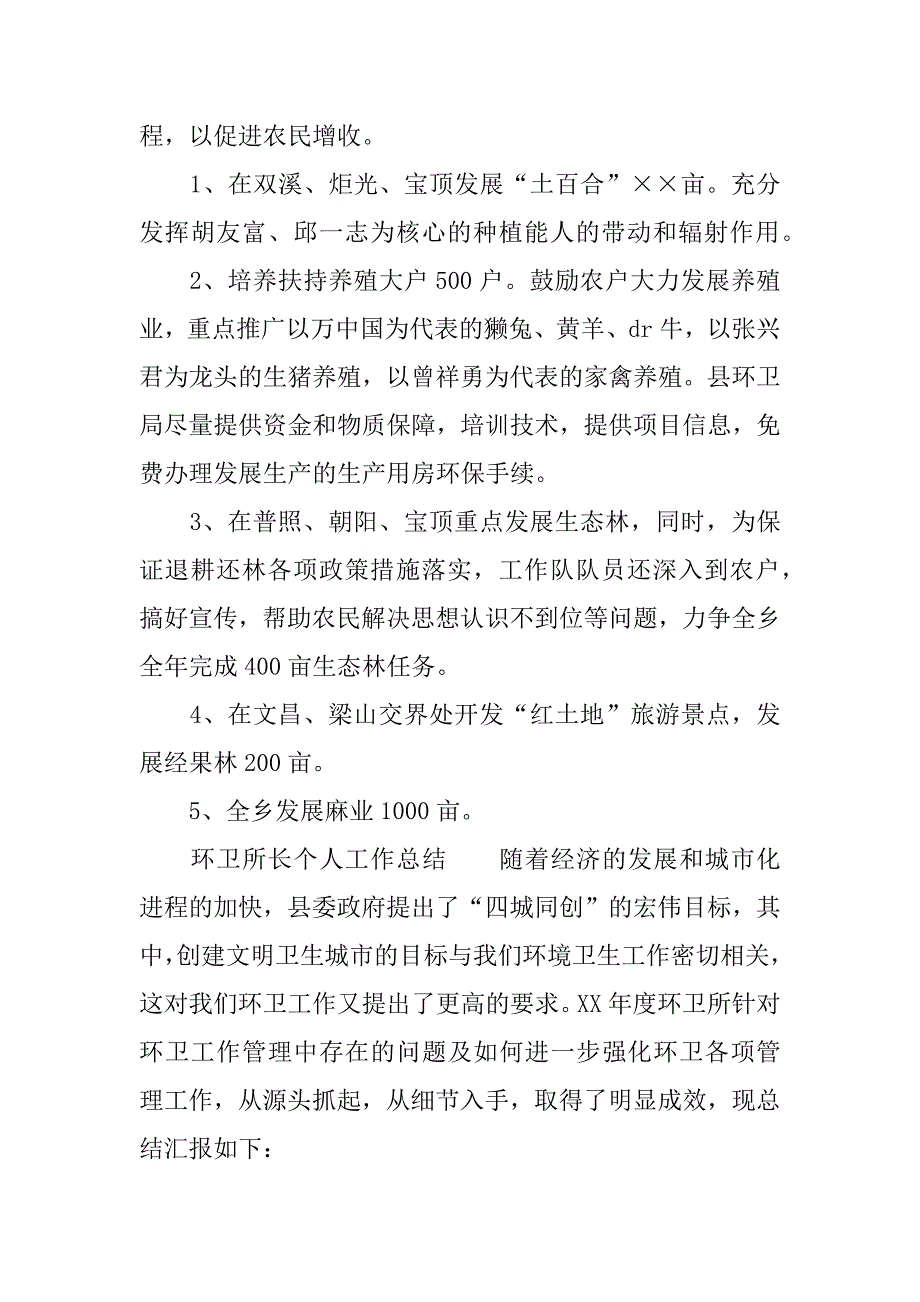 环卫所长个人工作总结.docx_第3页