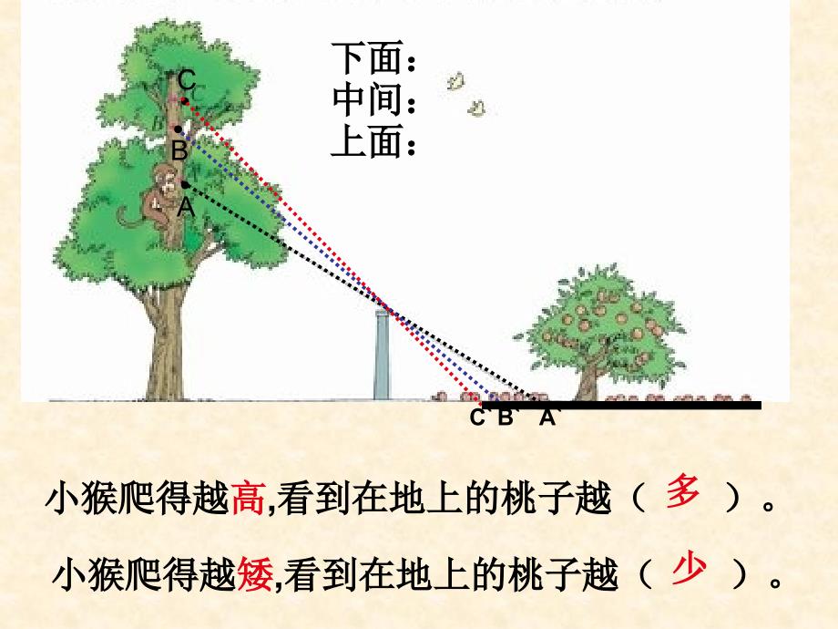 六上三、二_《观察的范围》ppt课件_第3页