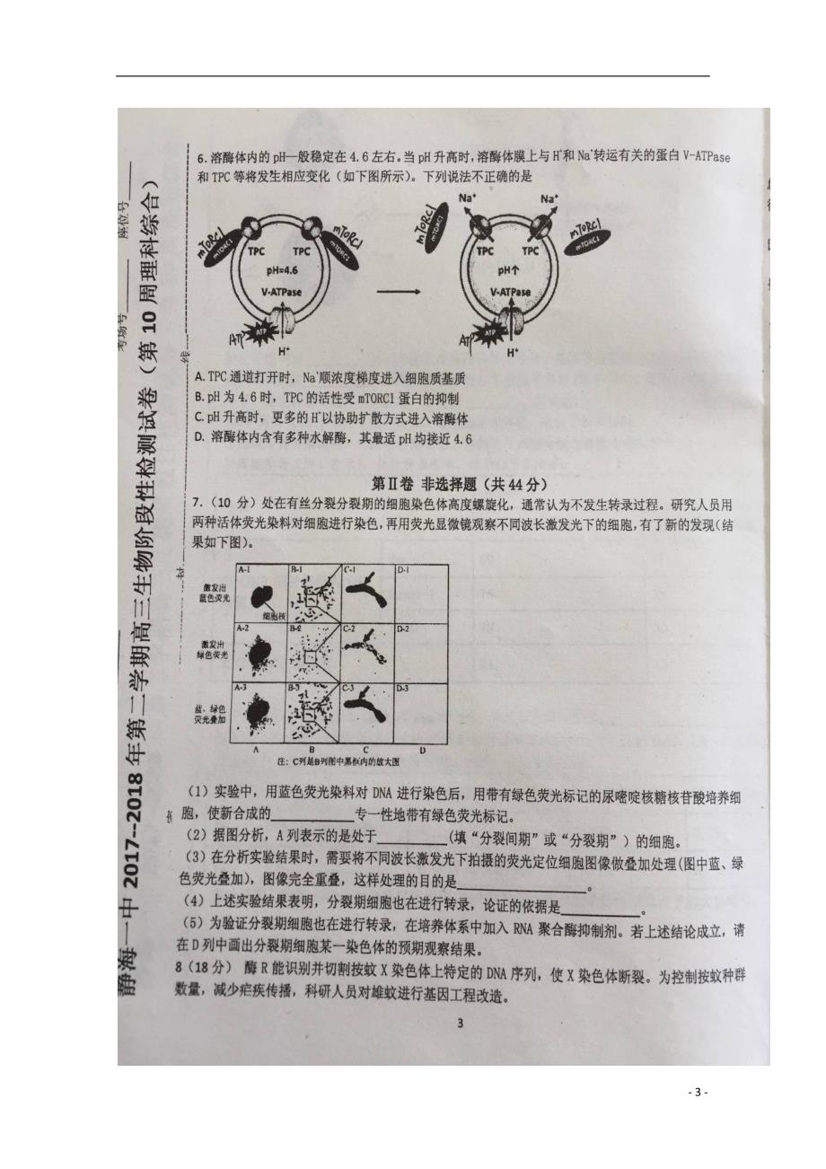 天津市静海县第一中学2018届高三生物5月检测试题（无答案）_第3页