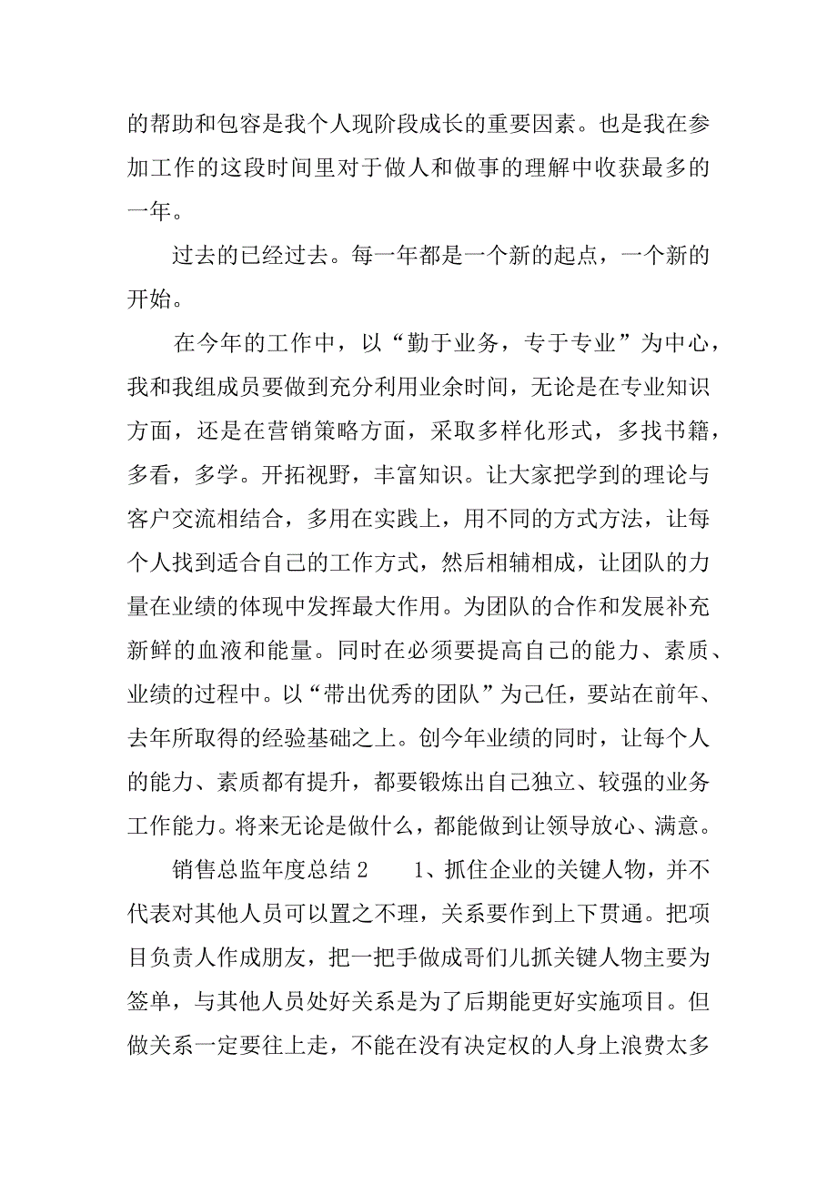 销售总监年度总结.docx_第2页