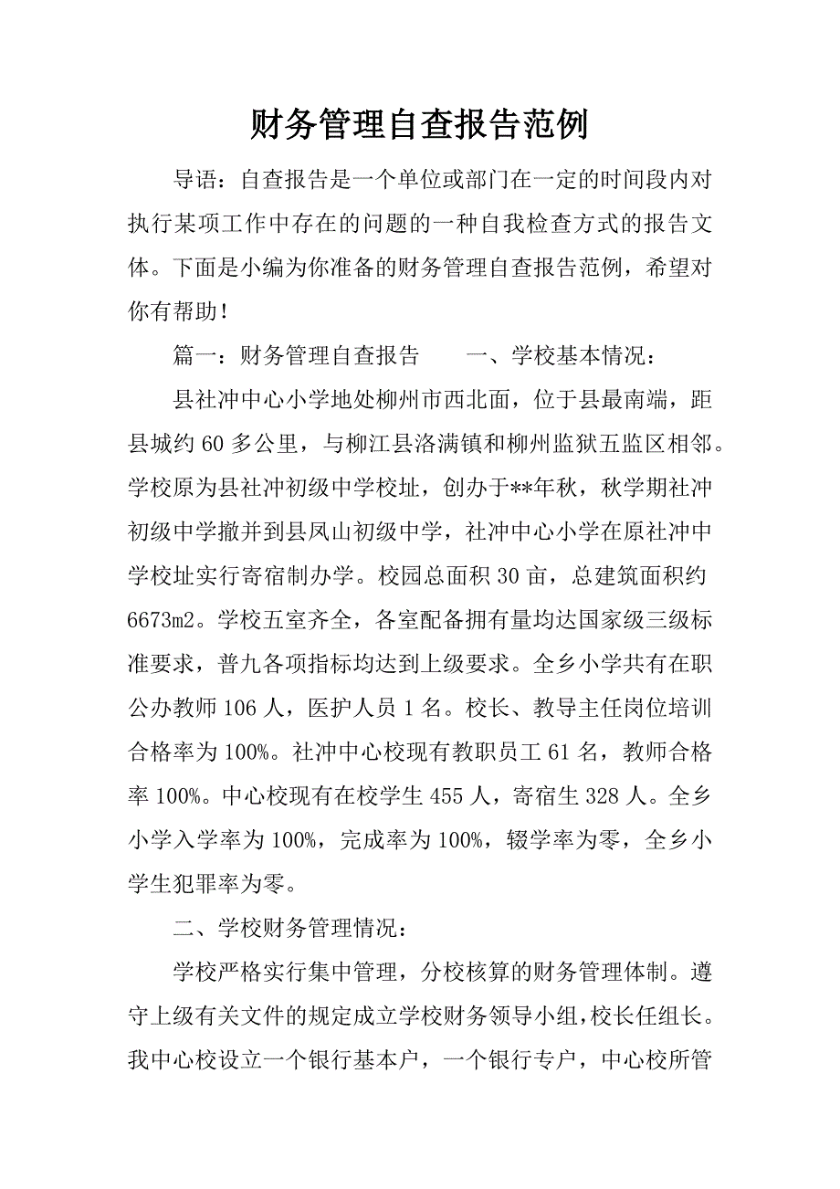 财务管理自查报告范例.docx_第1页