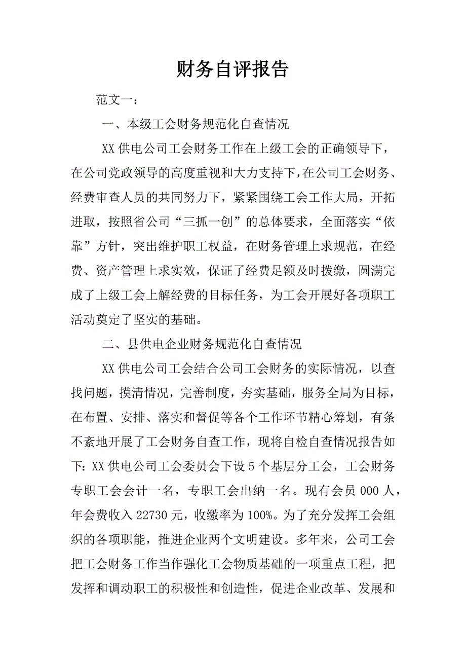 财务自评报告.docx_第1页