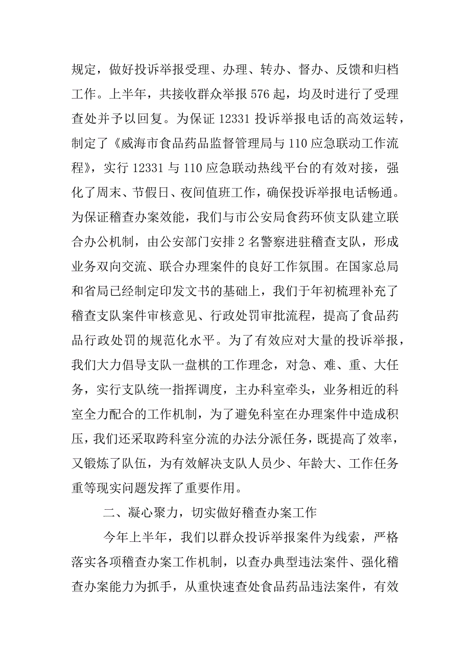 食药监稽查工作总结.docx_第2页
