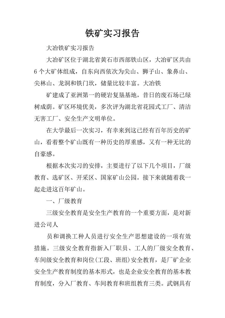 铁矿实习报告.docx_第1页