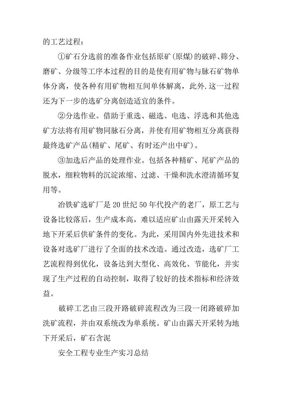 铁矿实习报告.docx_第5页