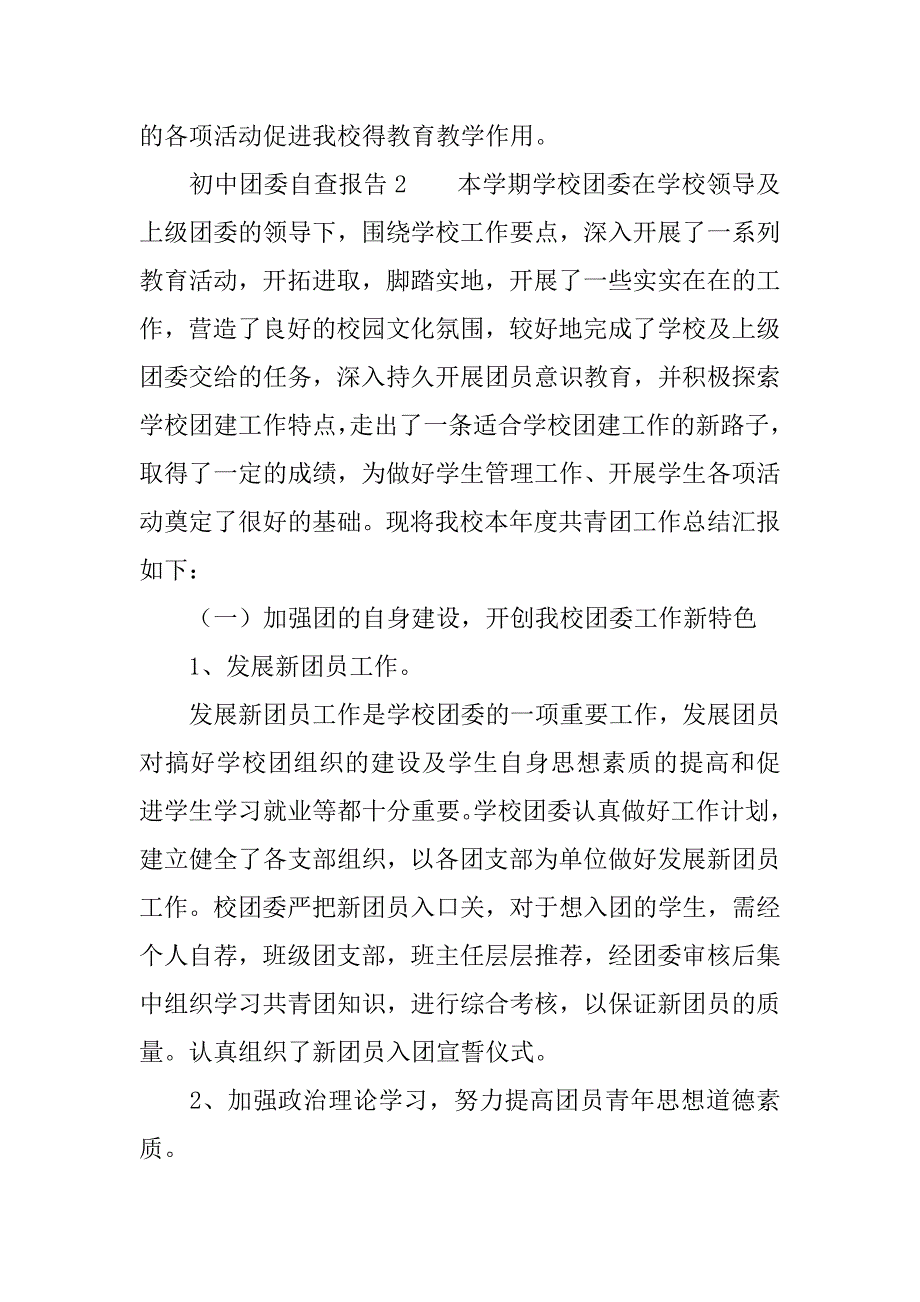 初中团委自查报告_第4页