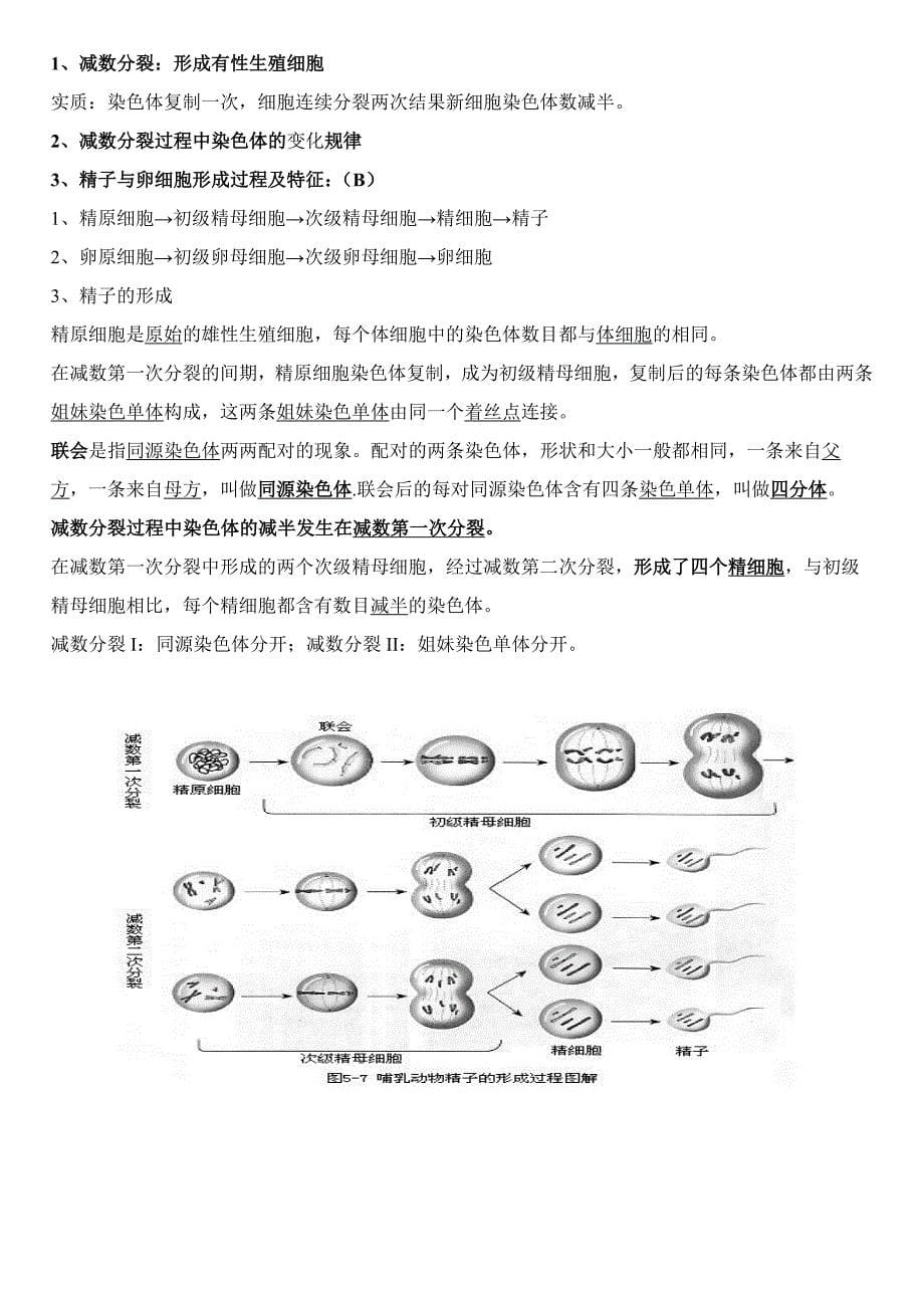 2018年高中生物知识点总结 (2)_第5页