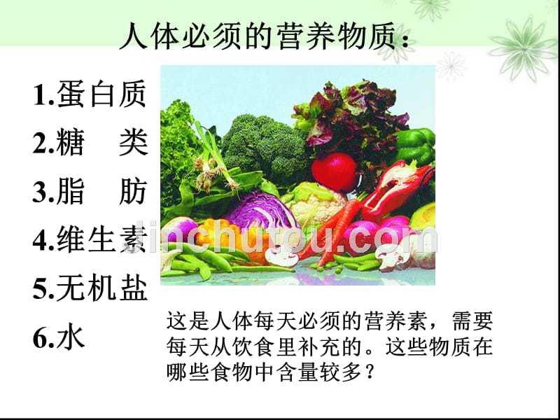 食品安全进校园课件(正一)_第3页