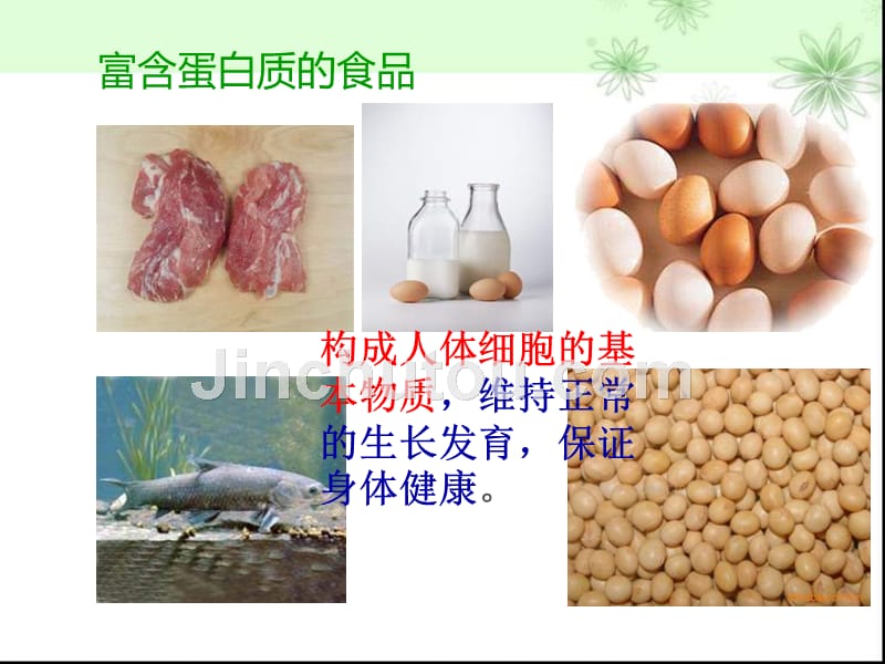 食品安全进校园课件(正一)_第4页